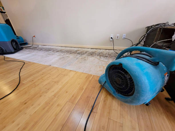 Professional Water Damage Repair technician working in Elbe, WA